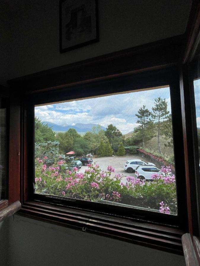 ホテルLa Panoramica 89 ペスカッセーロリ エクステリア 写真