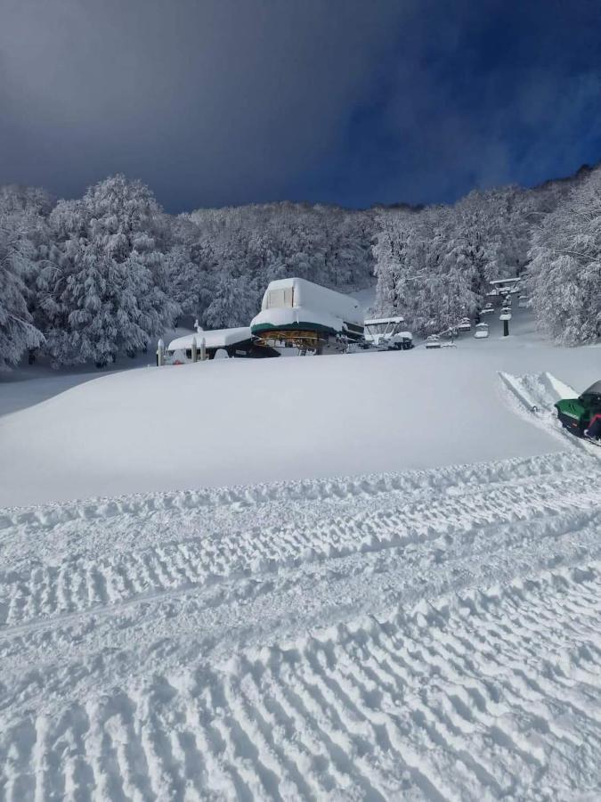 ホテルLa Panoramica 89 ペスカッセーロリ エクステリア 写真